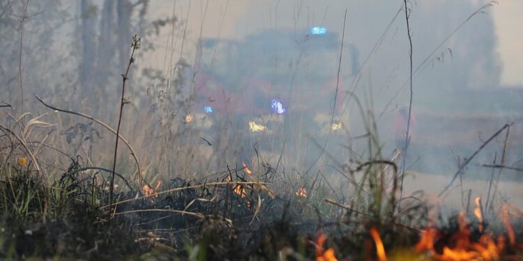 Spada liczba pożarów traw w regionie