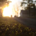 01.05.2020. Kostomłoty. Kaplica Przemienienia Pańskiego. Góra Świętego Jana. Kamieniołom Mogiłki / Wiktor Taszłow / Radio Kielce