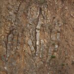 01.05.2020. Kostomłoty. Kaplica Przemienienia Pańskiego. Góra Świętego Jana. Kamieniołom Mogiłki / Wiktor Taszłow / Radio Kielce