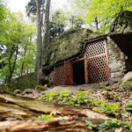 04.05.2020. Rezerwat przyrody Perzowa Góra / Wiktor Taszłow / Radio Kielce