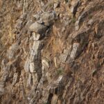 01.05.2020. Kostomłoty. Kaplica Przemienienia Pańskiego. Góra Świętego Jana. Kamieniołom Mogiłki / Wiktor Taszłow / Radio Kielce