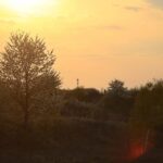 01.05.2020. Kostomłoty. Kaplica Przemienienia Pańskiego. Góra Świętego Jana. Kamieniołom Mogiłki / Wiktor Taszłow / Radio Kielce