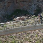 10.05.2020. Kielce. Niedzielny wypoczynek / Wiktor Taszłow / Radio Kielce