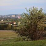 01.05.2020. Kostomłoty. Kaplica Przemienienia Pańskiego. Góra Świętego Jana. Kamieniołom Mogiłki / Wiktor Taszłow / Radio Kielce