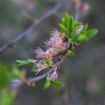 01.05.2020. Kostomłoty. Kaplica Przemienienia Pańskiego. Góra Świętego Jana. Kamieniołom Mogiłki / Wiktor Taszłow / Radio Kielce