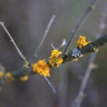 01.05.2020. Kostomłoty. Kaplica Przemienienia Pańskiego. Góra Świętego Jana. Kamieniołom Mogiłki / Wiktor Taszłow / Radio Kielce