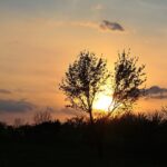 01.05.2020. Kostomłoty. Kaplica Przemienienia Pańskiego. Góra Świętego Jana. Kamieniołom Mogiłki / Wiktor Taszłow / Radio Kielce