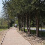 30.04.2020. Świętokrzyski Park Narodowy. Budowa ścieżki rowerowej Święta Katarzyna - Podgórze / Wiktor Taszłow / Radio Kielce