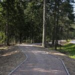 30.04.2020. Świętokrzyski Park Narodowy. Budowa ścieżki rowerowej Święta Katarzyna - Podgórze / Wiktor Taszłow / Radio Kielce