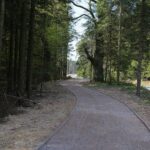 30.04.2020. Świętokrzyski Park Narodowy. Budowa ścieżki rowerowej Święta Katarzyna - Podgórze / Wiktor Taszłow / Radio Kielce