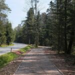 30.04.2020. Świętokrzyski Park Narodowy. Budowa ścieżki rowerowej Święta Katarzyna - Podgórze / Wiktor Taszłow / Radio Kielce
