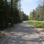 30.04.2020. Świętokrzyski Park Narodowy. Budowa ścieżki rowerowej Święta Katarzyna - Podgórze / Wiktor Taszłow / Radio Kielce