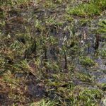 30.04.2020. Świętokrzyski Park Narodowy. Budowa ścieżki rowerowej Święta Katarzyna - Podgórze / Wiktor Taszłow / Radio Kielce