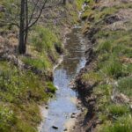 30.04.2020. Świętokrzyski Park Narodowy. Budowa ścieżki rowerowej Święta Katarzyna - Podgórze / Wiktor Taszłow / Radio Kielce