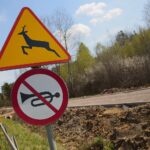 30.04.2020. Świętokrzyski Park Narodowy. Budowa ścieżki rowerowej Święta Katarzyna - Podgórze / Wiktor Taszłow / Radio Kielce