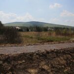 30.04.2020. Świętokrzyski Park Narodowy. Budowa ścieżki rowerowej Święta Katarzyna - Podgórze / Wiktor Taszłow / Radio Kielce