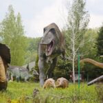 14.05.2020. Bałtów / Wiktor Taszłow / Radio Kielce