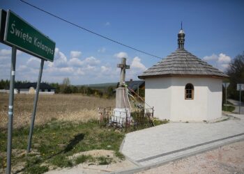 30.04.2020. Świętokrzyski Park Narodowy. Budowa ścieżki rowerowej Święta Katarzyna - Podgórze / Wiktor Taszłow / Radio Kielce