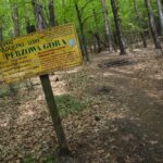 04.05.2020. Rezerwat przyrody Perzowa Góra / Wiktor Taszłow / Radio Kielce