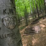 04.05.2020. Rezerwat przyrody Perzowa Góra / Wiktor Taszłow / Radio Kielce