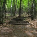 04.05.2020. Rezerwat przyrody Perzowa Góra / Wiktor Taszłow / Radio Kielce