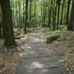 04.05.2020. Rezerwat przyrody Perzowa Góra / Wiktor Taszłow / Radio Kielce