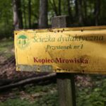 04.05.2020. Rezerwat przyrody Perzowa Góra / Wiktor Taszłow / Radio Kielce