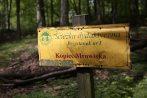 04.05.2020. Rezerwat przyrody Perzowa Góra / Wiktor Taszłow / Radio Kielce
