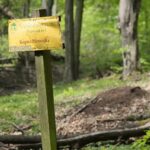 04.05.2020. Rezerwat przyrody Perzowa Góra / Wiktor Taszłow / Radio Kielce