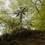 04.05.2020. Rezerwat przyrody Perzowa Góra / Wiktor Taszłow / Radio Kielce