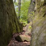 04.05.2020. Rezerwat przyrody Perzowa Góra / Wiktor Taszłow / Radio Kielce