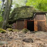 04.05.2020. Rezerwat przyrody Perzowa Góra / Wiktor Taszłow / Radio Kielce