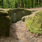 04.05.2020. Rezerwat przyrody Perzowa Góra / Wiktor Taszłow / Radio Kielce