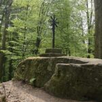 04.05.2020. Rezerwat przyrody Perzowa Góra / Wiktor Taszłow / Radio Kielce