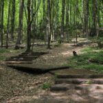 04.05.2020. Rezerwat przyrody Perzowa Góra / Wiktor Taszłow / Radio Kielce