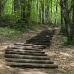 04.05.2020. Rezerwat przyrody Perzowa Góra / Wiktor Taszłow / Radio Kielce