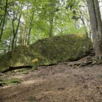 04.05.2020. Rezerwat przyrody Perzowa Góra / Wiktor Taszłow / Radio Kielce