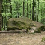 04.05.2020. Rezerwat przyrody Perzowa Góra / Wiktor Taszłow / Radio Kielce