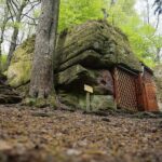 04.05.2020. Rezerwat przyrody Perzowa Góra / Wiktor Taszłow / Radio Kielce