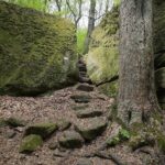 04.05.2020. Rezerwat przyrody Perzowa Góra / Wiktor Taszłow / Radio Kielce