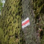 04.05.2020. Rezerwat przyrody Perzowa Góra / Wiktor Taszłow / Radio Kielce