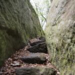 04.05.2020. Rezerwat przyrody Perzowa Góra / Wiktor Taszłow / Radio Kielce