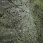 04.05.2020. Rezerwat przyrody Perzowa Góra / Wiktor Taszłow / Radio Kielce