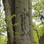 04.05.2020. Rezerwat przyrody Perzowa Góra / Wiktor Taszłow / Radio Kielce