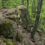 04.05.2020. Rezerwat przyrody Perzowa Góra / Wiktor Taszłow / Radio Kielce