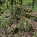 04.05.2020. Rezerwat przyrody Perzowa Góra / Wiktor Taszłow / Radio Kielce