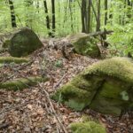 04.05.2020. Rezerwat przyrody Perzowa Góra / Wiktor Taszłow / Radio Kielce