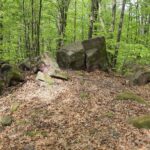 04.05.2020. Rezerwat przyrody Perzowa Góra / Wiktor Taszłow / Radio Kielce