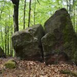 04.05.2020. Rezerwat przyrody Perzowa Góra / Wiktor Taszłow / Radio Kielce