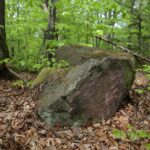 04.05.2020. Rezerwat przyrody Perzowa Góra / Wiktor Taszłow / Radio Kielce